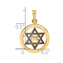 14k Polished and Enameled Solid Star of David Pendant - 2