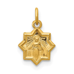 14k Blessed Mary Charm - 2