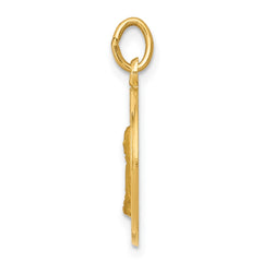 14k Mother Cabrini Medal Charm
