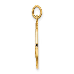 14k Our Lady of San Juan Medal Pendant