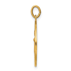 14k Infant of Prague Medal Charm - 2