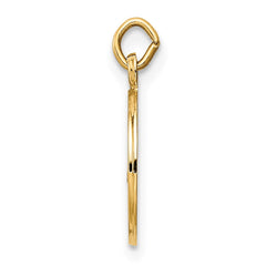 14K Caridad Del Cobre Medal Charm
