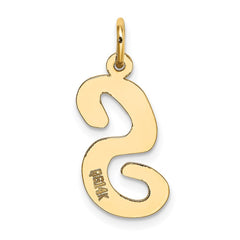 14k Large Script Letter S Initial Charm