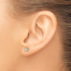 14K Polished CZ and Created Opal Circle Screwback Post Earrings