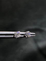 LIV 14k White Gold Genuine Diamonds 0.50ct tw G/VS1 Round Shape Halo Solitaire Stud Earrings