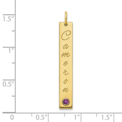 10k YG Med Epoxy Name w/14k Bezel Birthstone Bar Charm