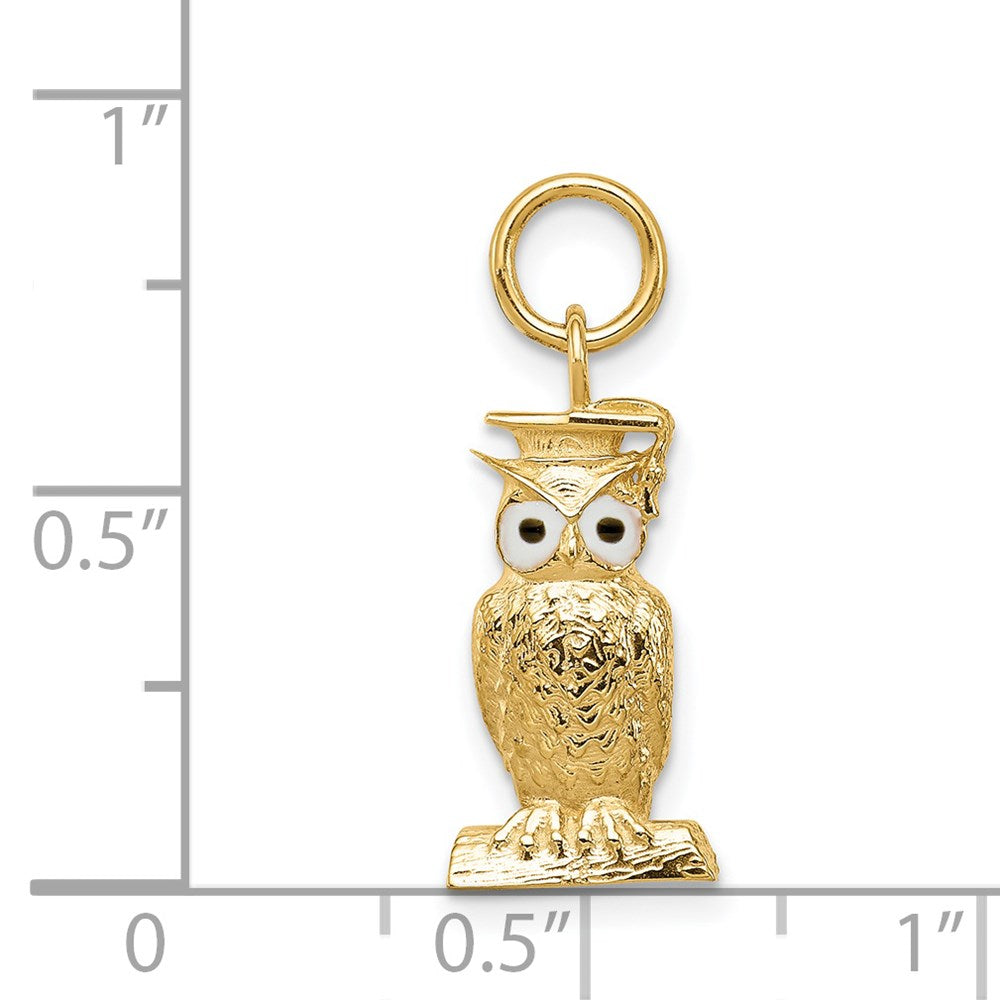 14K Graduation Owl Charm with Enamel