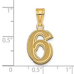 14k Polished Etched Number 6 Pendant