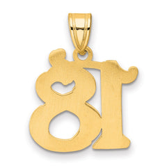 14k Polished Etched Number 18 Pendant