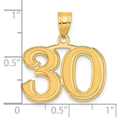 14k Polished Etched Number 30 Pendant