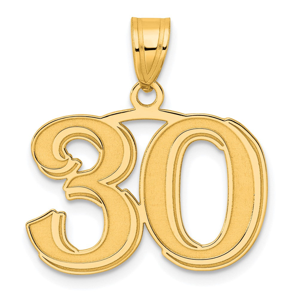 14k Polished Etched Number 30 Pendant