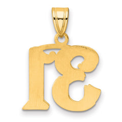 14k Polished Etched Number 31 Pendant