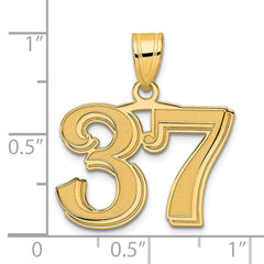 14k Polished Etched Number 37 Pendant