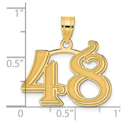 14k Polished Etched Number 48 Pendant