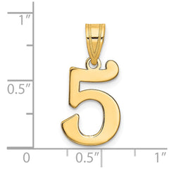 14k Polished Number 5 Pendant