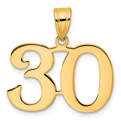 14k Polished Number 30 Pendant