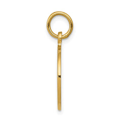 14K Satin and Polished Communion Charm
