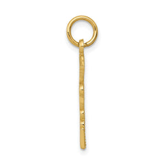 14k Registered Nurse Practitioner Charm