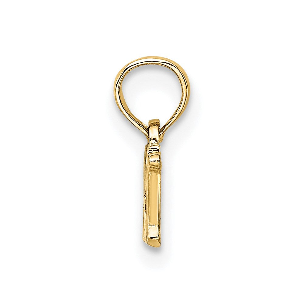14k RN Charm
