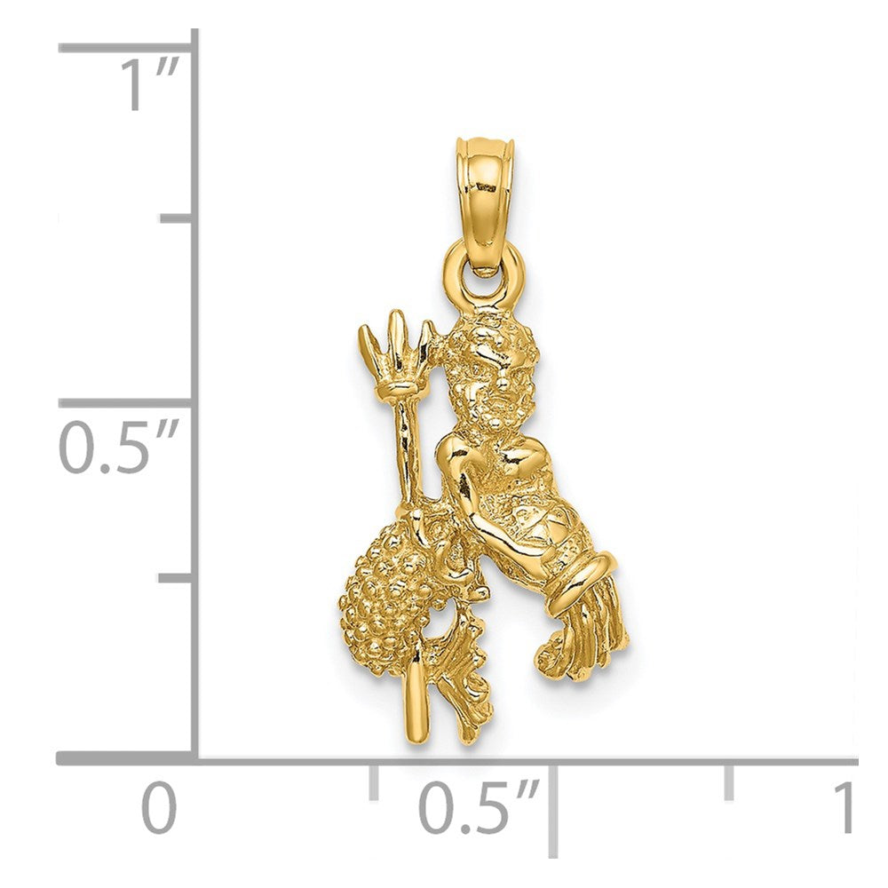 14k 3-D Aquarius Zodiac Charm