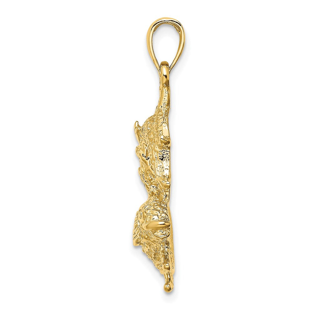 14k Large Pisces Zodiac Charm