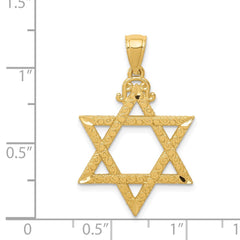 14k Diamond-cut Star of David Pendant