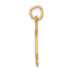 14k RN Nurse Charm - 3