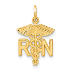 14k RN Nurse Charm - 3