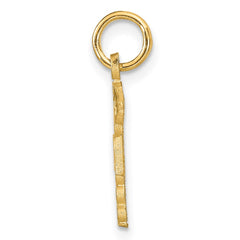 14k RN Nurse Charm - 2