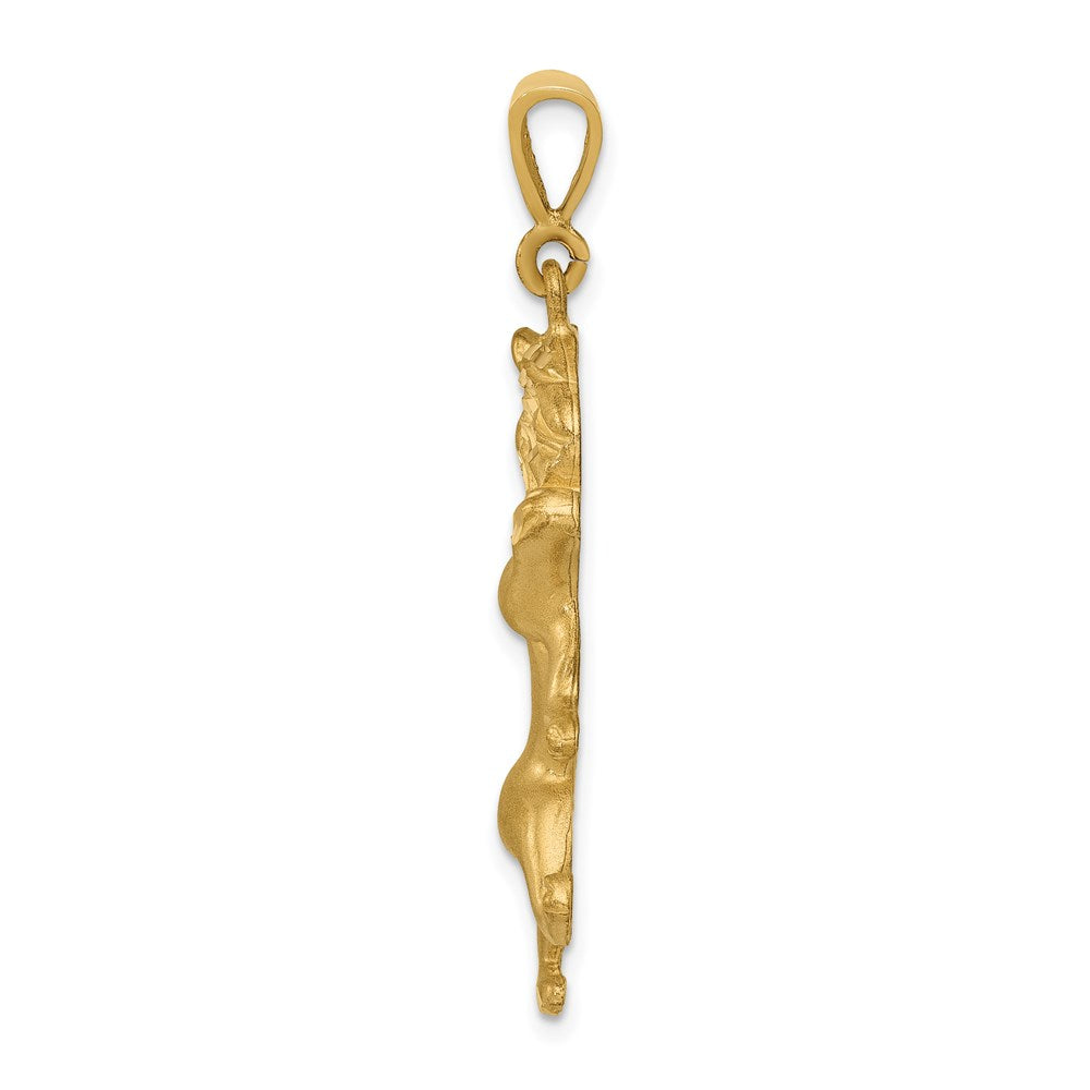 14k Satin Diamond-cut Leo Zodiac Charm