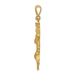 14k Satin Diamond-cut Leo Zodiac Charm