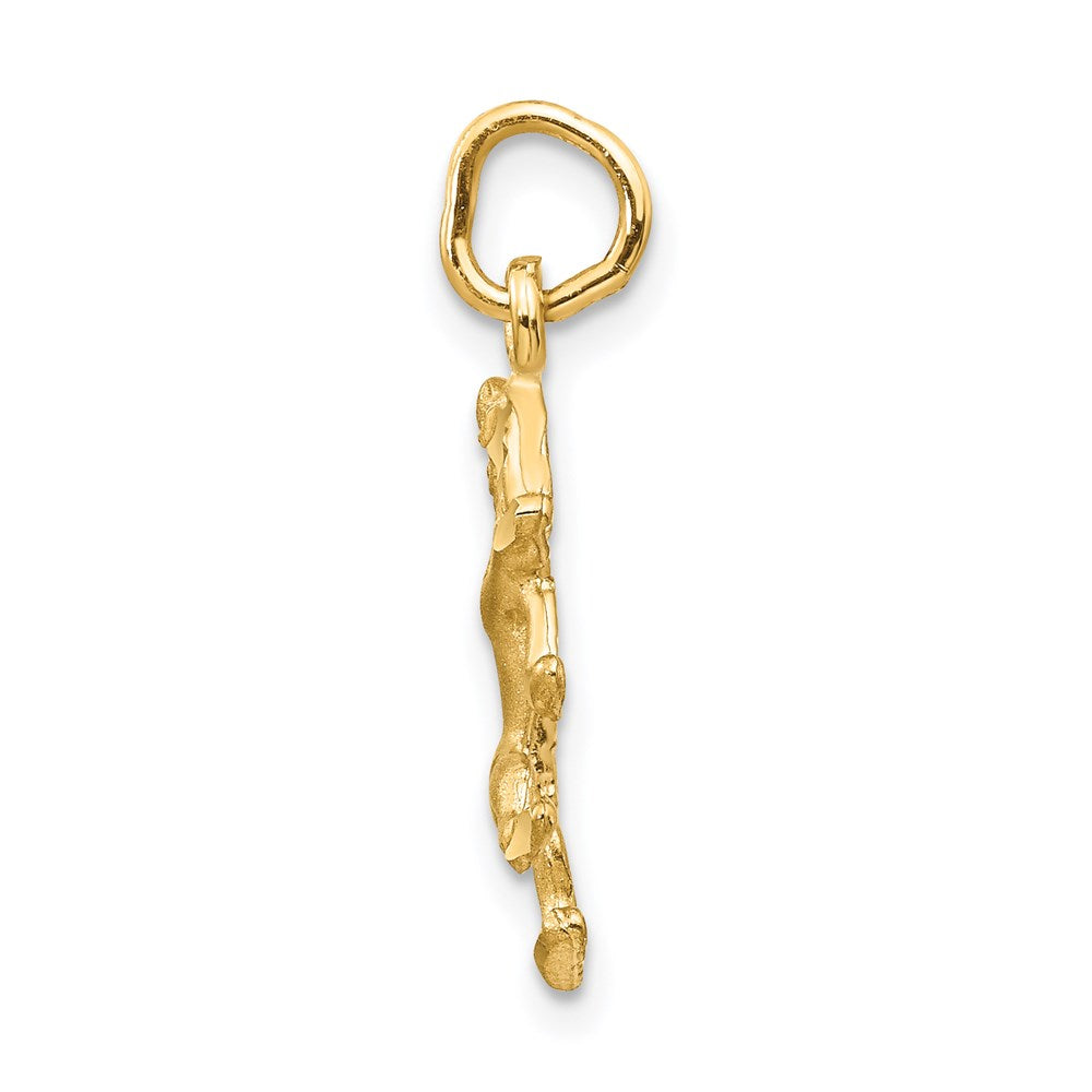 14k Satin Diamond-cut Leo Zodiac Charm