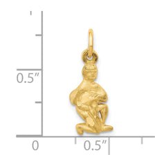 14k Satin Diamond-cut Aquarius Zodiac Charm - 2