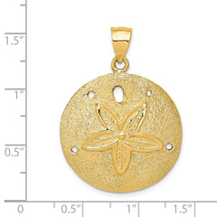 14k Solid Polished Laser-Cut Sand Dollar Pendant - 5