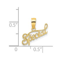 14K Polished and Textured SPECIAL Charm