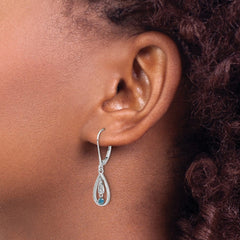 14k White Gold Blue Diamond Leverback Earrings