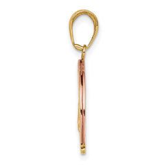 14k Two-tone w/White Rhod FOLLOW YOUR DREAMS Rainbow Charm