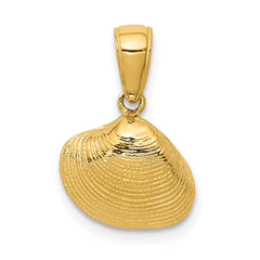 14k Small Clam Shell Pendant