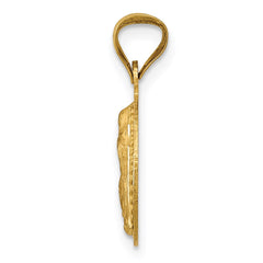 14K w/Rhodium Polished D/C Lady Of Guadalupe Circle Pendant - 2