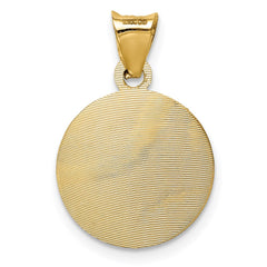 14K w/Rhodium Polished D/C Lady Of Guadalupe Circle Pendant - 2