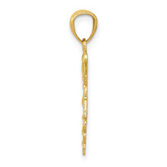 14k Diamond-cut Polished RN Nurse Pendant