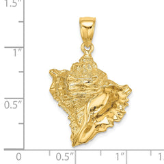 14K Textured Conch Shell Charm - 2