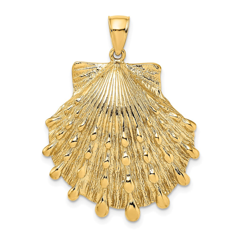 14K Lion's Paw Shell Charm - 2