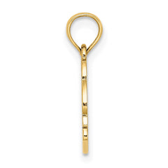 14K Textured NAGS HEAD w/ Dolphin Charm