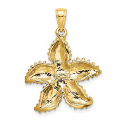 14K Textured Starfish Charm - 6
