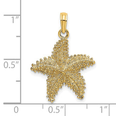 14K Beaded Textured Starfish Charm - 2