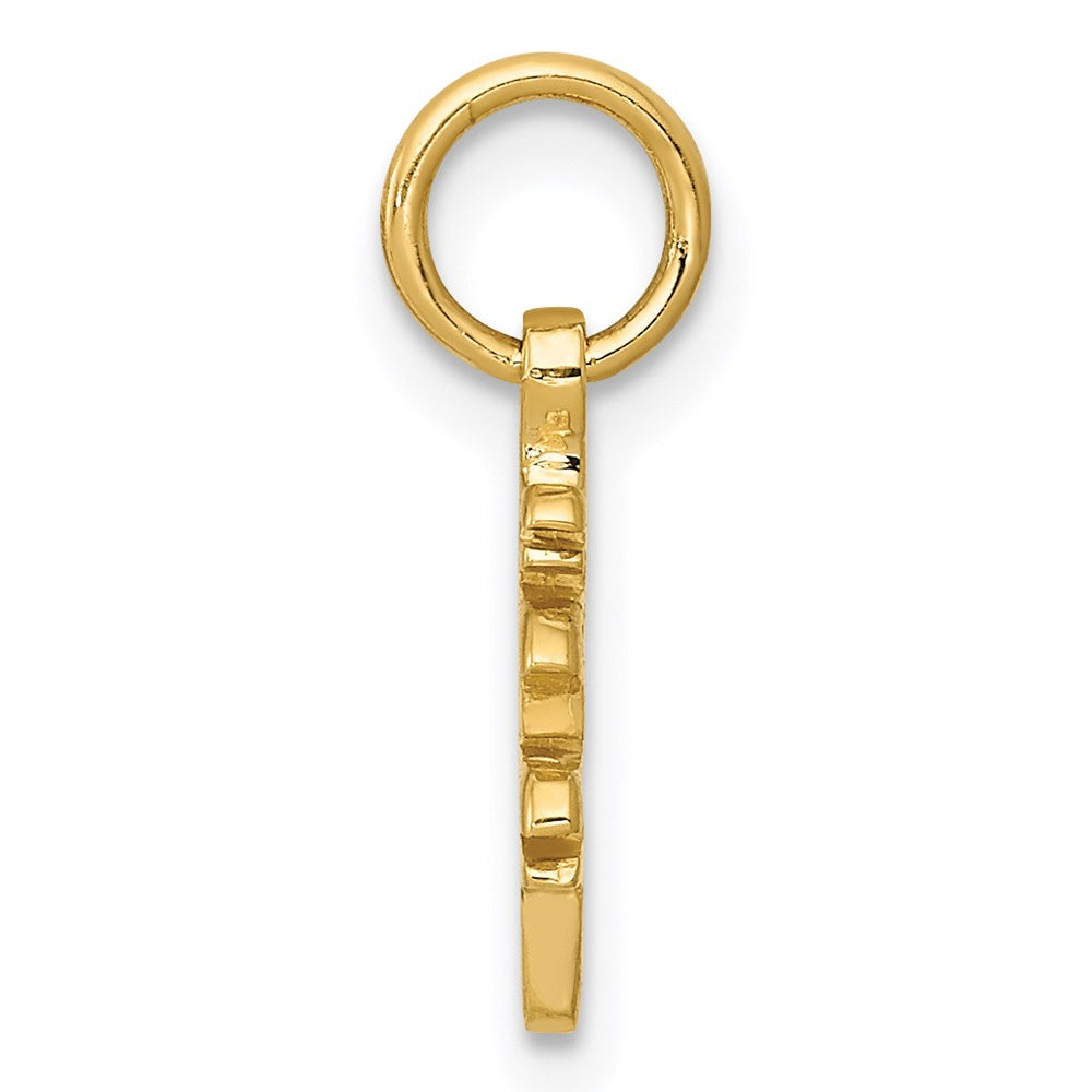 14k Solid Polished Chinese Long Life Charm - 2