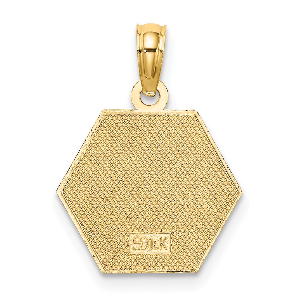 14K Caduceus Textured Back Medical Charm