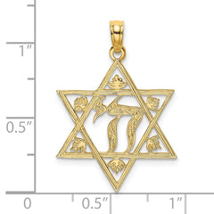 14K Textured Star Of David Charm - 2