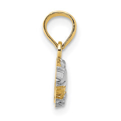 14k w/Rhodium 2-D  Alligator Charm